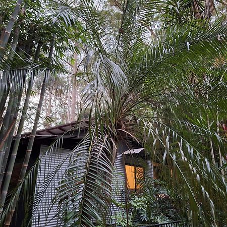 阿莱耶休闲住宿加早餐旅馆 Eudlo 外观 照片