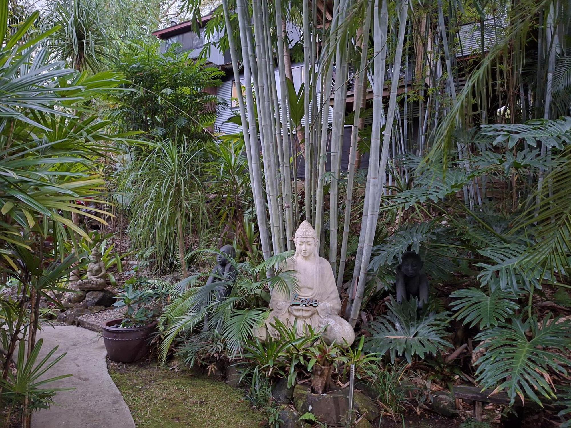阿莱耶休闲住宿加早餐旅馆 Eudlo 外观 照片