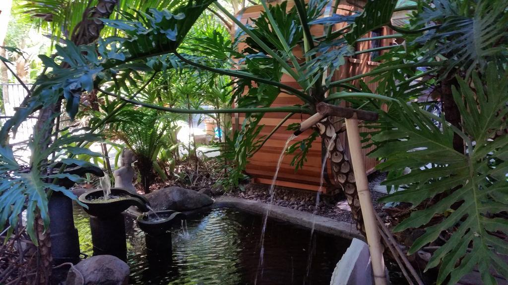 阿莱耶休闲住宿加早餐旅馆 Eudlo 外观 照片