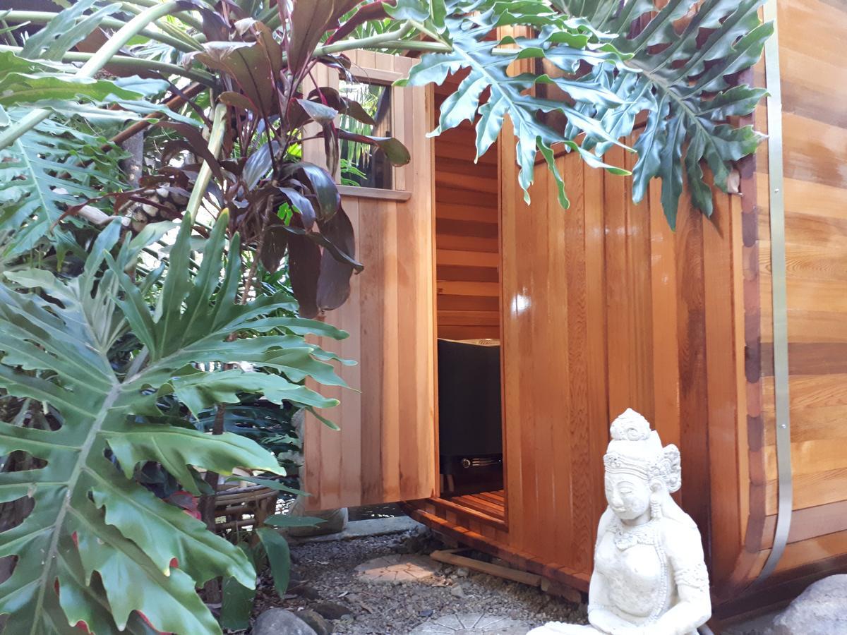 阿莱耶休闲住宿加早餐旅馆 Eudlo 外观 照片