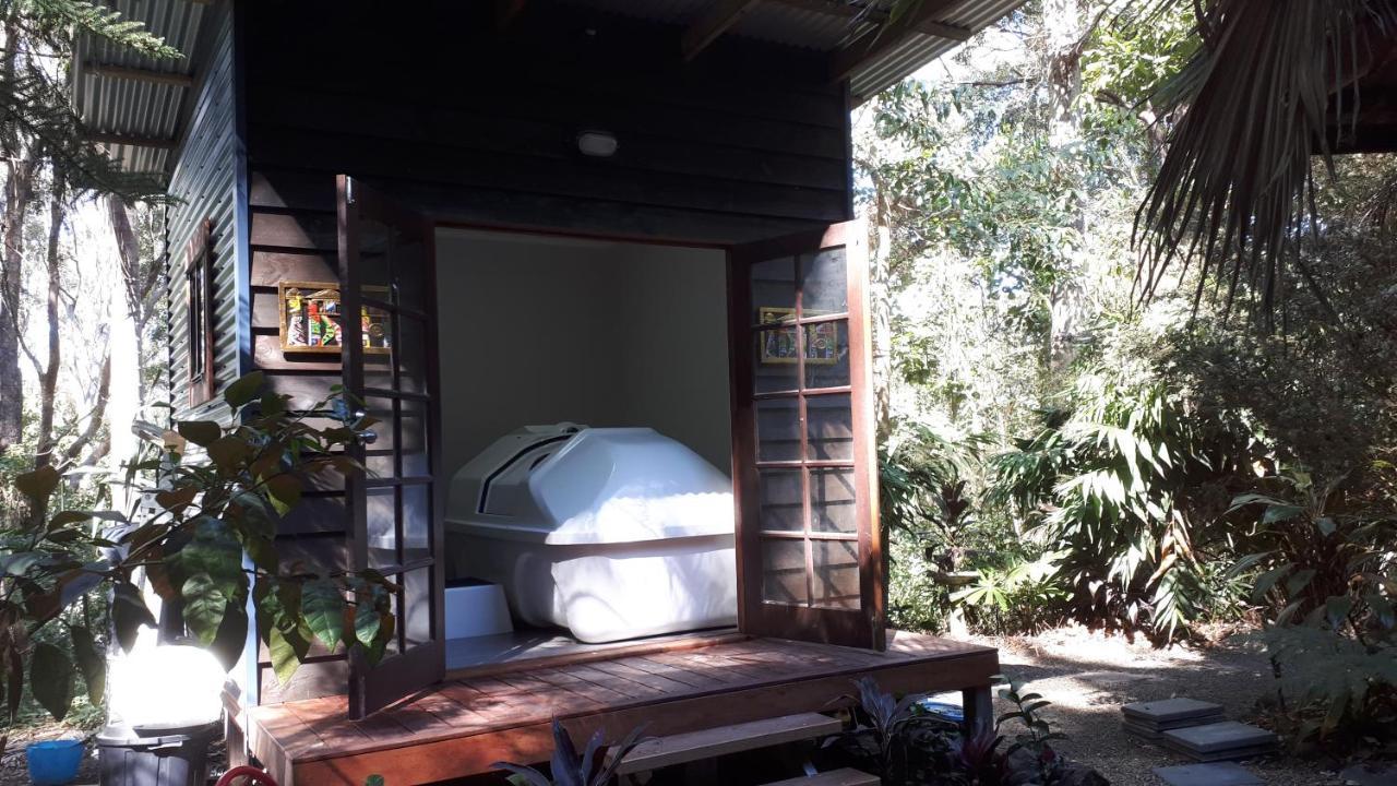 阿莱耶休闲住宿加早餐旅馆 Eudlo 外观 照片
