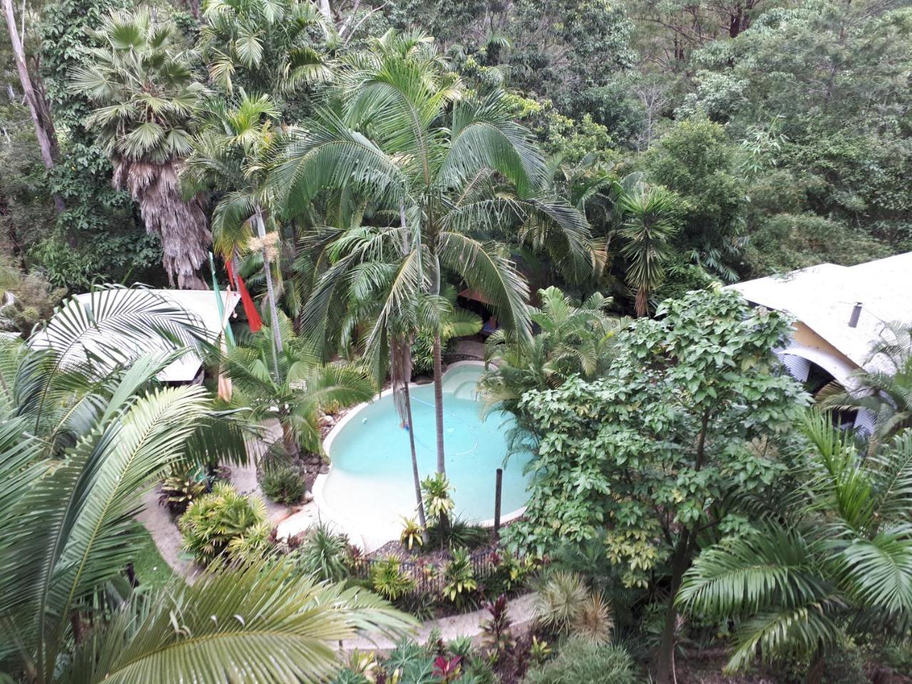 阿莱耶休闲住宿加早餐旅馆 Eudlo 外观 照片